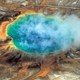 Las arqueas a menudo sobreviven en entornos extremos donde ningún otro organismo puede subsistir, como los estanques hivientes de Yellowstone. Foto: Foto: Robert B. Smith y Lee J. Siegel